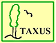 Taxus Gartenbau
